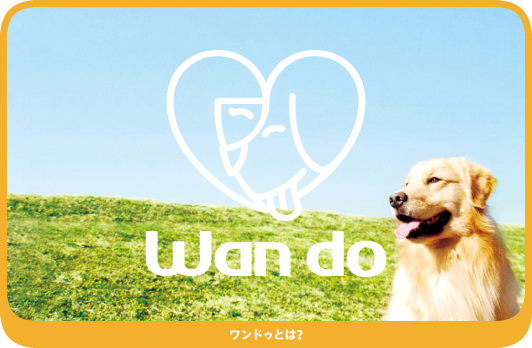 ドッグトレーニング