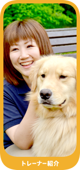 ドッグトレーニング