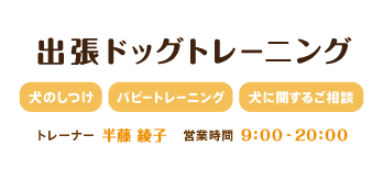 ドッグトレーニング