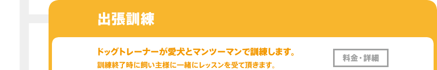 ドッグトレーニング