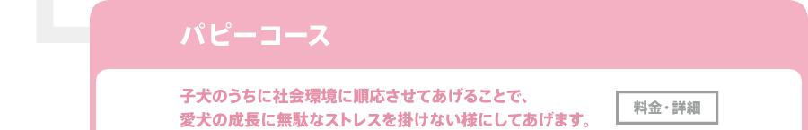 ドッグトレーニング