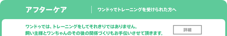 ドッグトレーニング